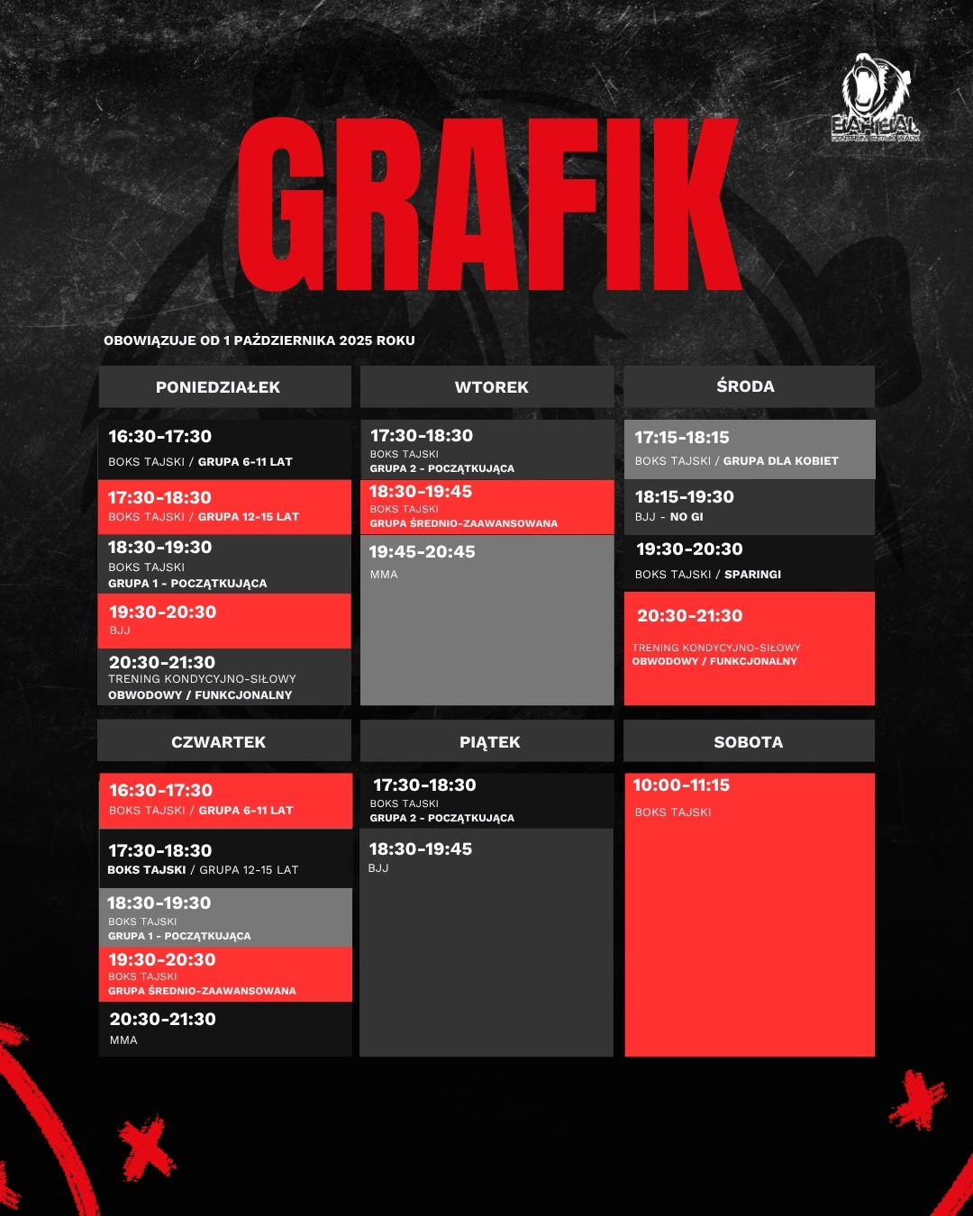 grafik treningów